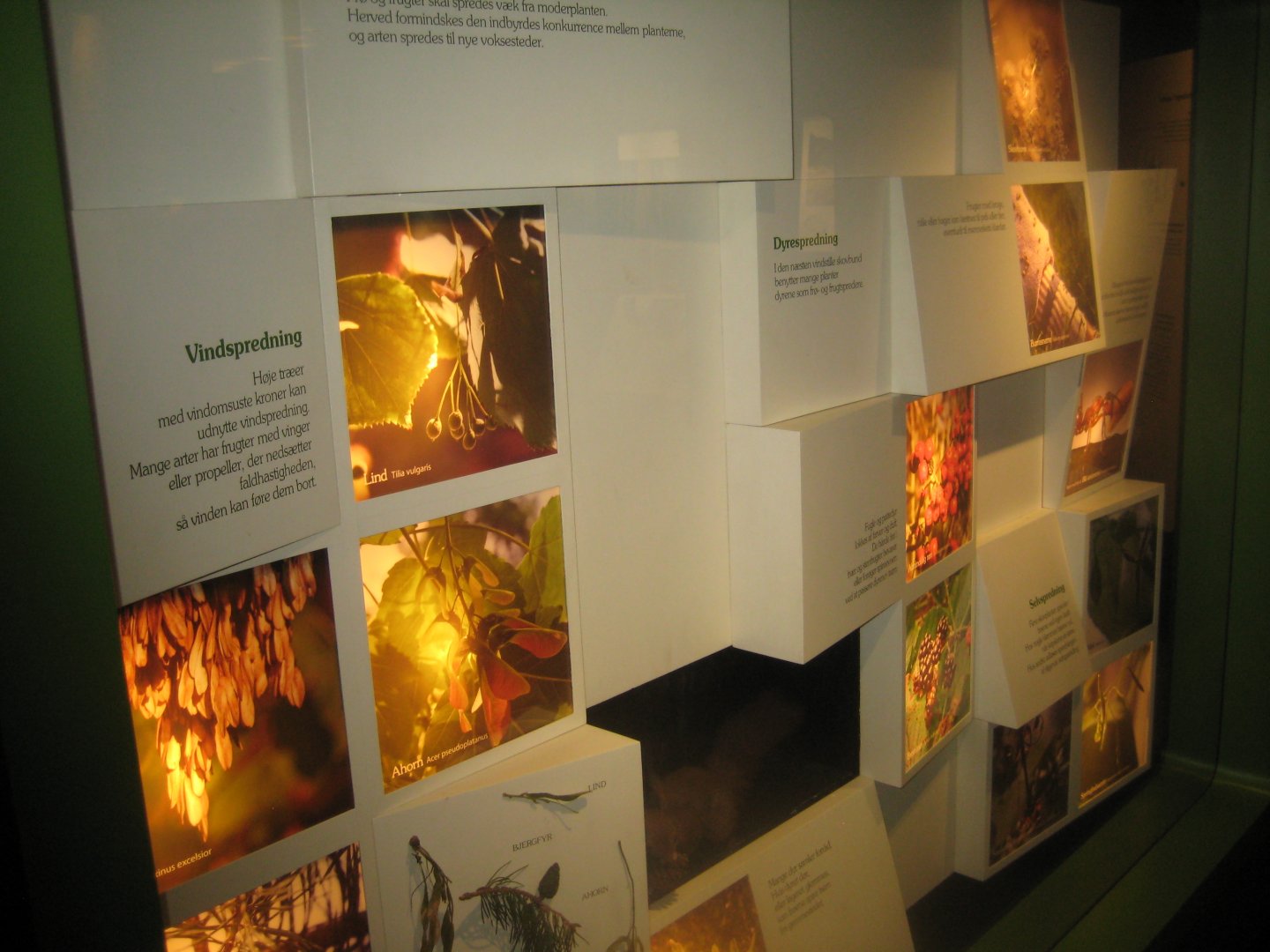 Naturhistorisk Museum Aarhus - Denmark hall