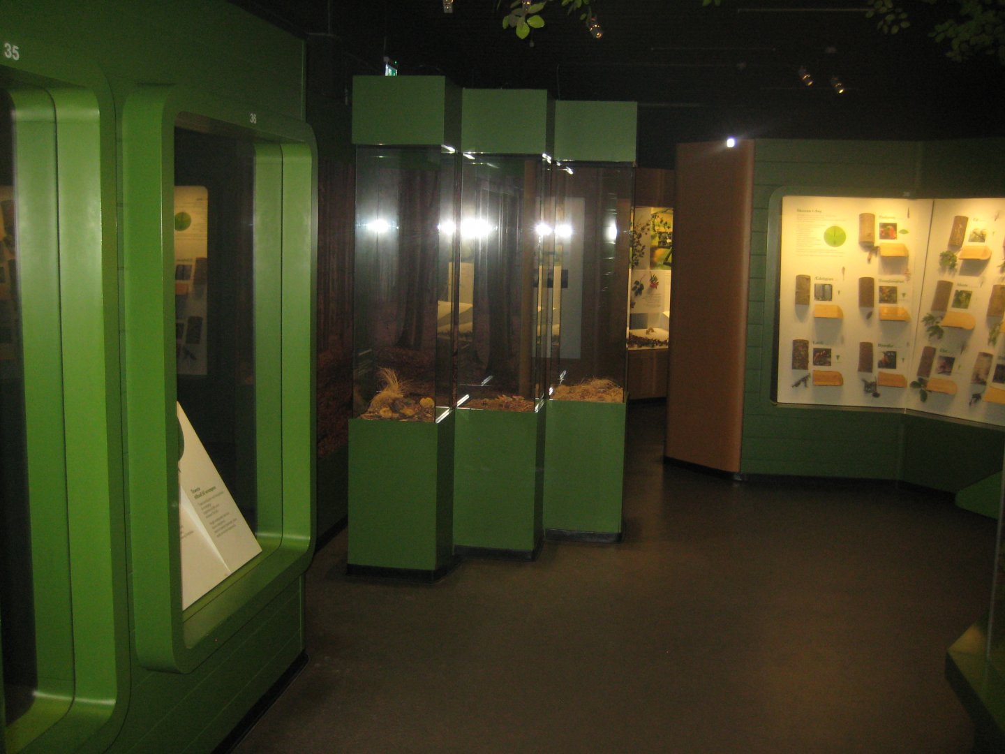 Naturhistorisk Museum Aarhus - Denmark hall