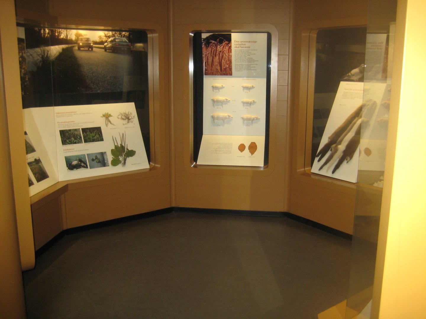 Naturhistorisk Museum Aarhus - Denmark hall