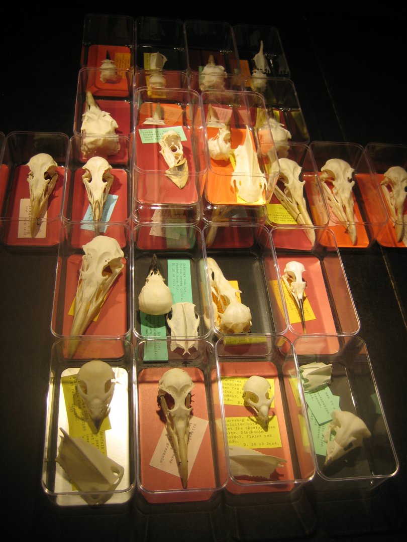 Naturhistorisk Museum Aarhus - "Én mands passion"