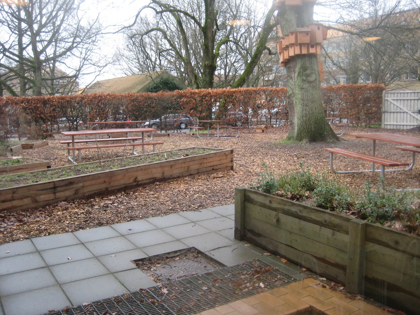 Naturhistorisk Museum Aarhus - Museum garden