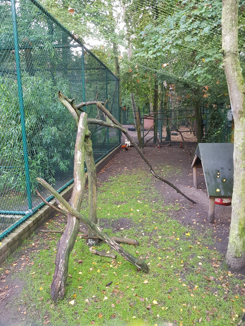 Natuurhulpcentrum Opglabbeek Chicken coop