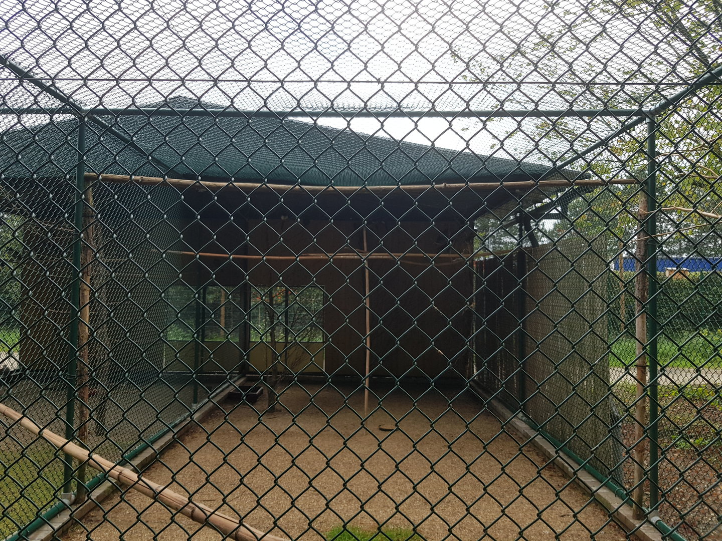 Natuurhulpcentrum Opglabbeek Corvid aviary