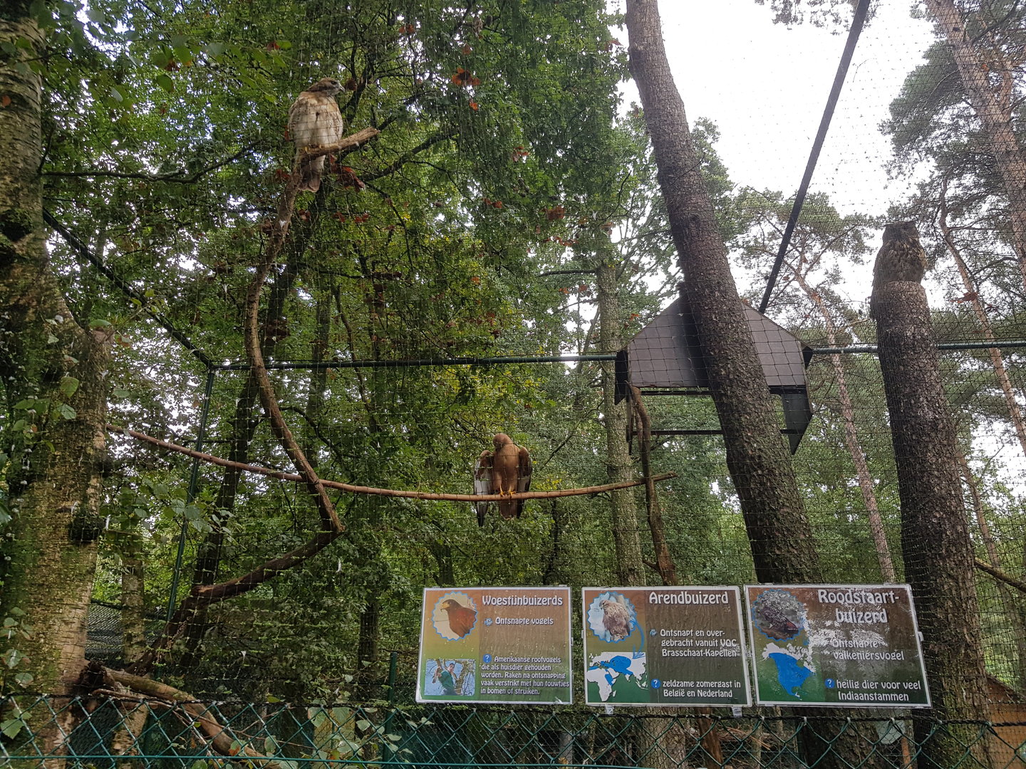Natuurhulpcentrum Opglabbeek exotic aviary