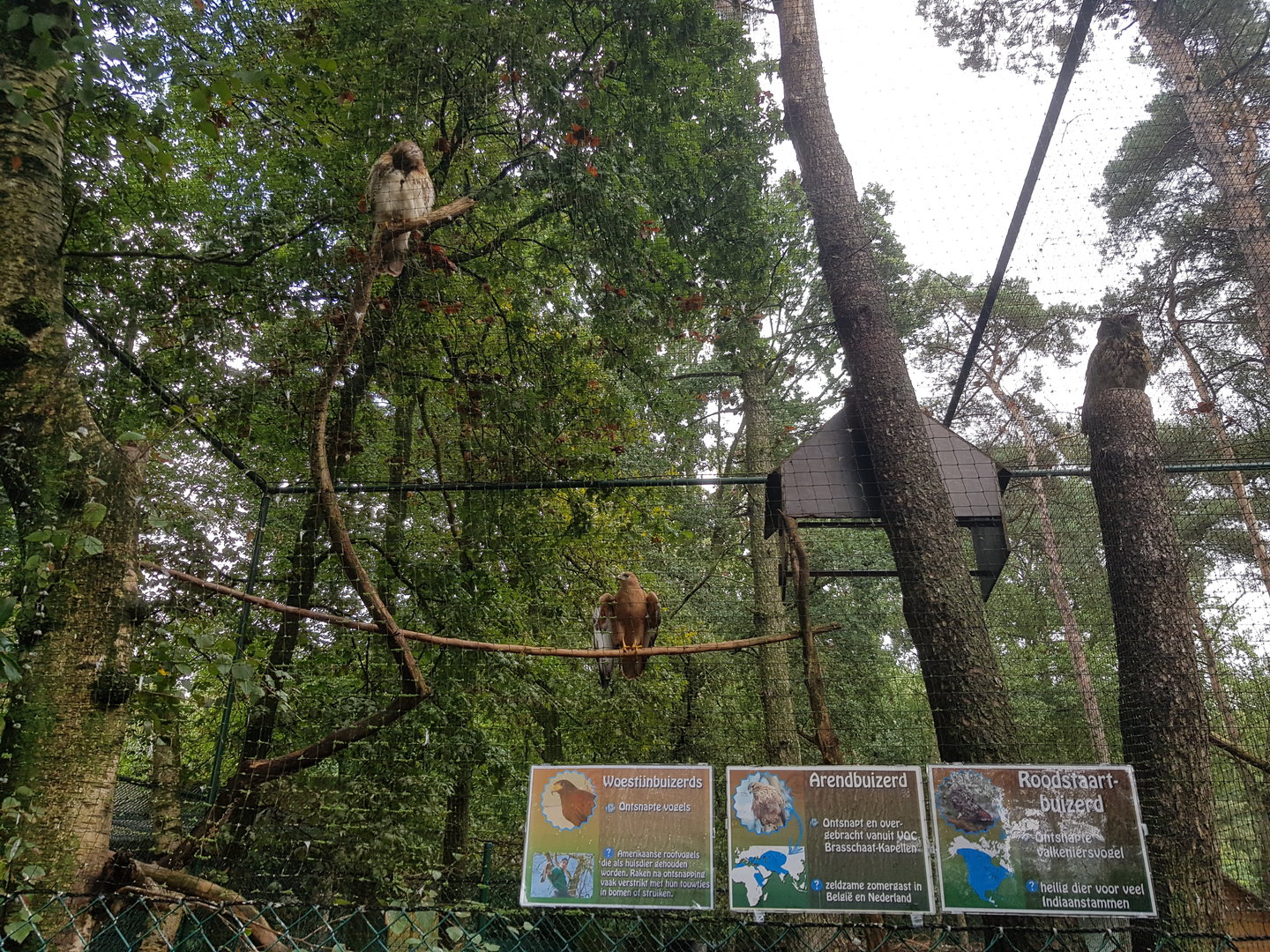 Natuurhulpcentrum Opglabbeek exotic aviary