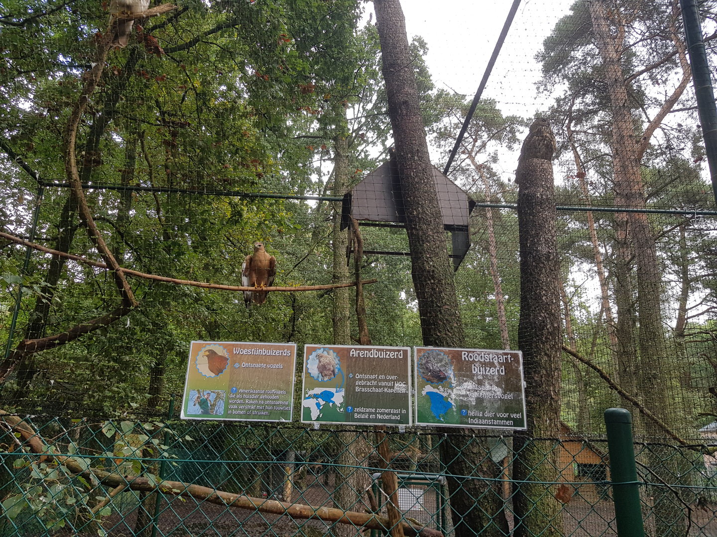 Natuurhulpcentrum Opglabbeek exotic aviary