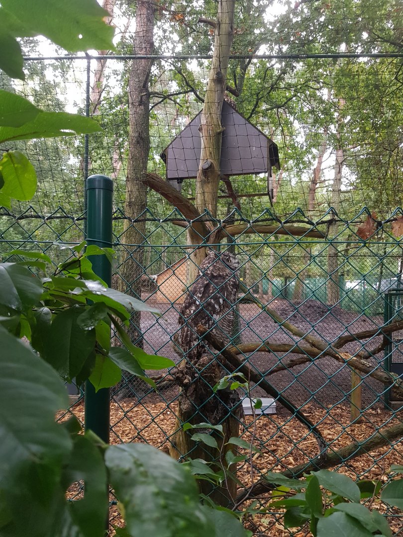 Natuurhulpcentrum Opglabbeek exotic aviary