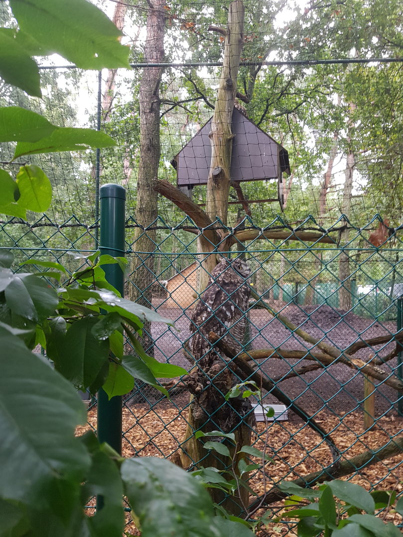 Natuurhulpcentrum Opglabbeek exotic aviary