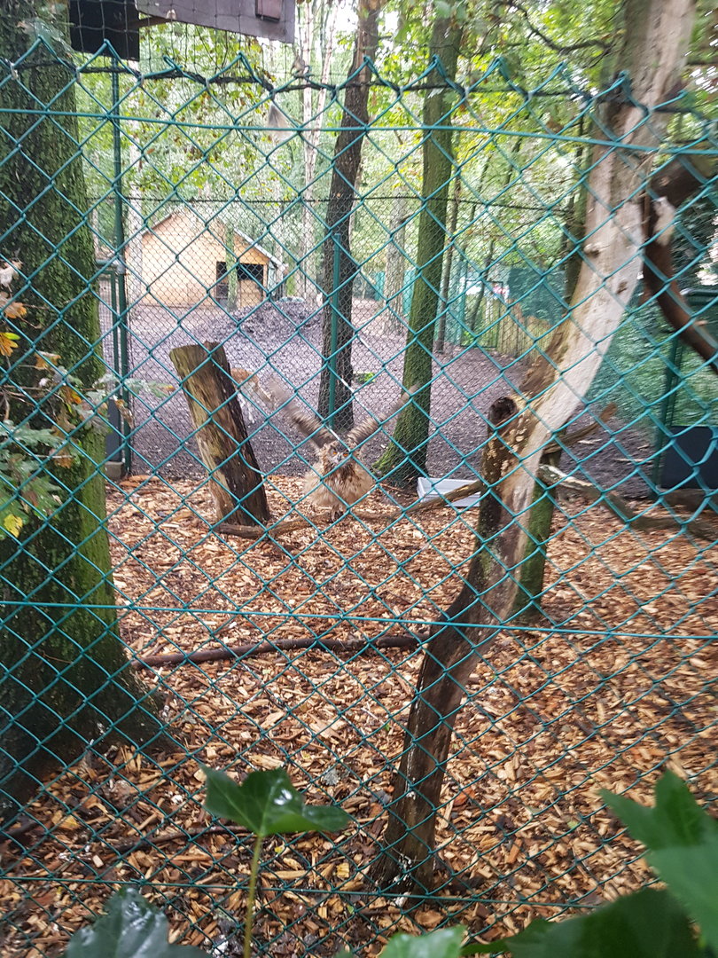 Natuurhulpcentrum Opglabbeek exotic aviary