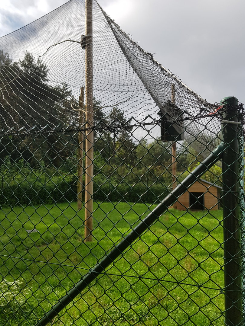 Natuurhulpcentrum Opglabbeek goat aviary