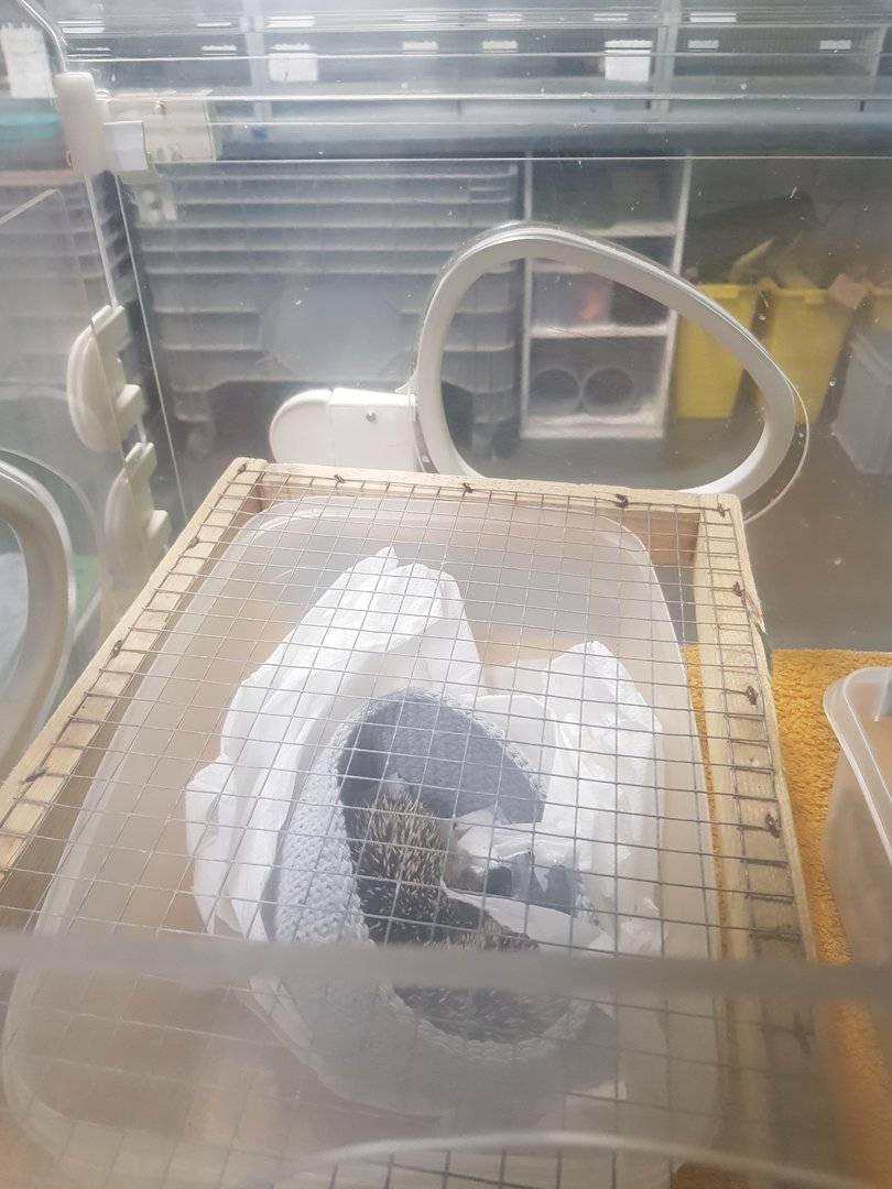 Natuurhulpcentrum Opglabbeek ICU