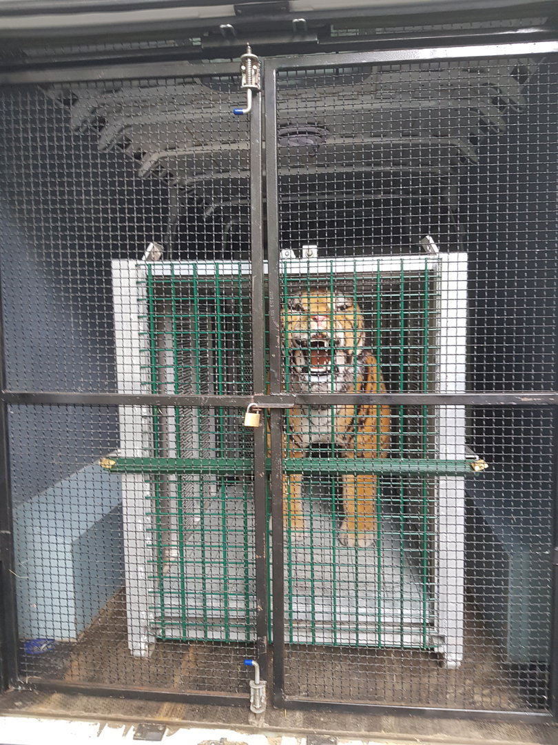 Natuurhulpcentrum Opglabbeek Inside of a transport van