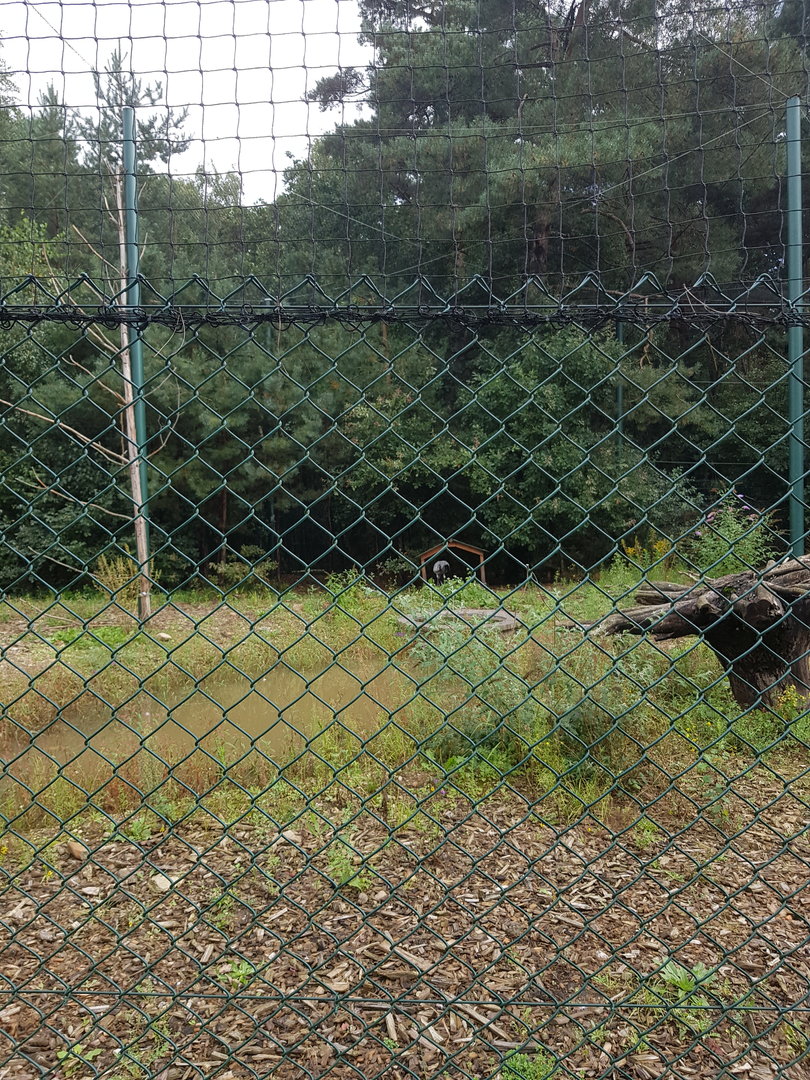 Natuurhulpcentrum Opglabbeek Largest aviary and final step before release