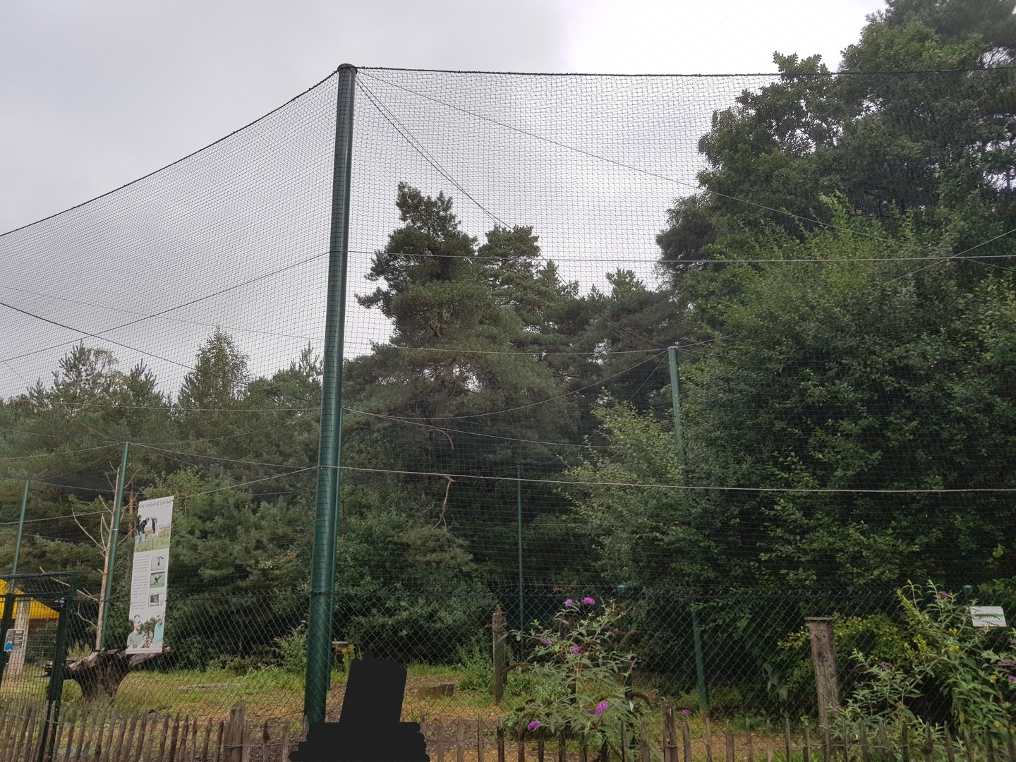 Natuurhulpcentrum Opglabbeek Largest aviary and final step before release