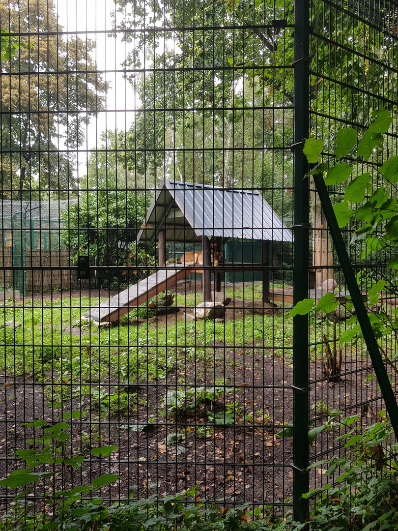 Natuurhulpcentrum Opglabbeek Lions