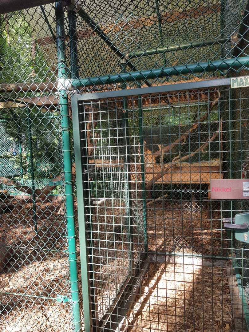 Natuurhulpcentrum Opglabbeek Lynx