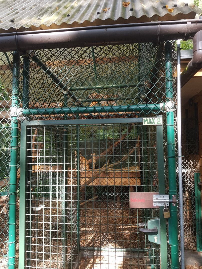 Natuurhulpcentrum Opglabbeek Lynx