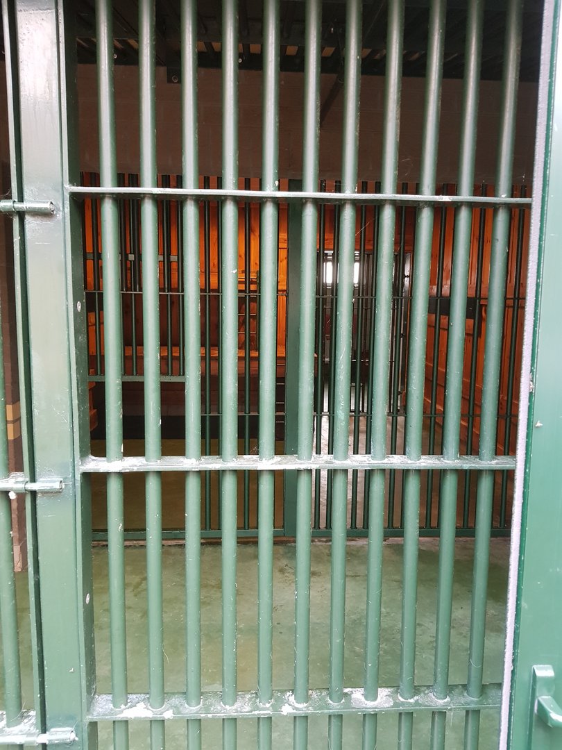 Natuurhulpcentrum Opglabbeek quarantine holding Lion