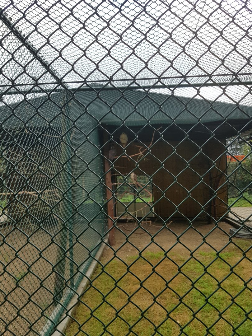 Natuurhulpcentrum Opglabbeek Raptor aviary