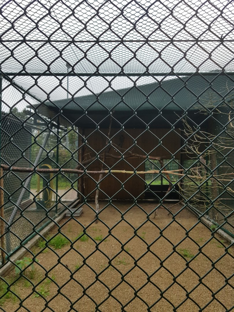 Natuurhulpcentrum Opglabbeek Raptor aviary