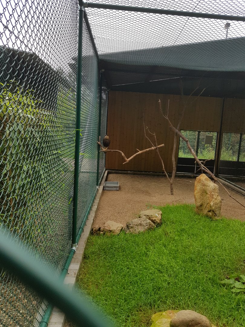 Natuurhulpcentrum Opglabbeek Raptor aviary
