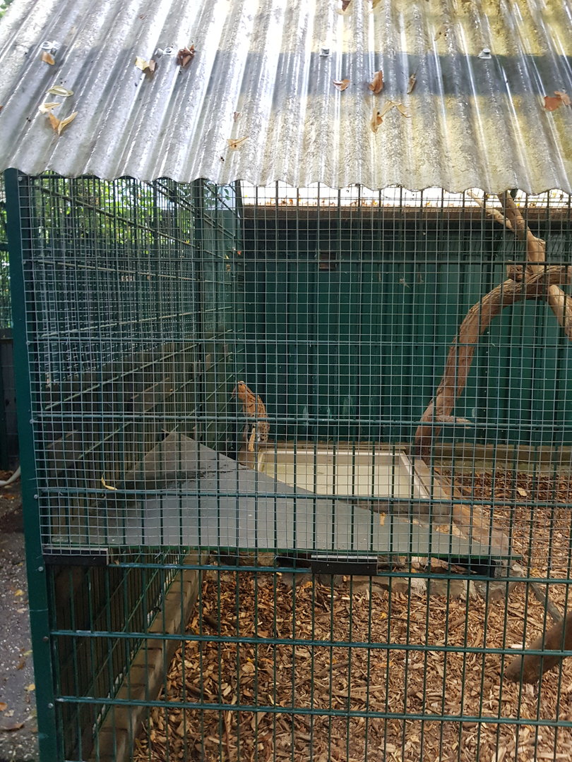 Natuurhulpcentrum Opglabbeek Serval