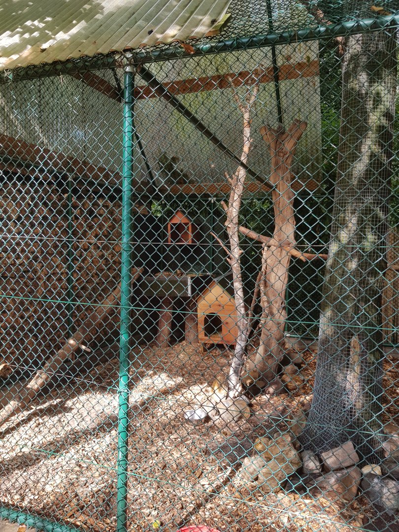 Natuurhulpcentrum Opglabbeek Serval