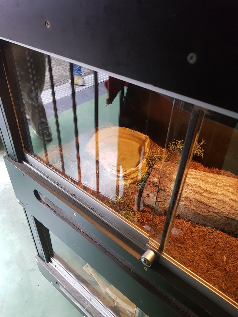 Natuurhulpcentrum Opglabbeek Snake