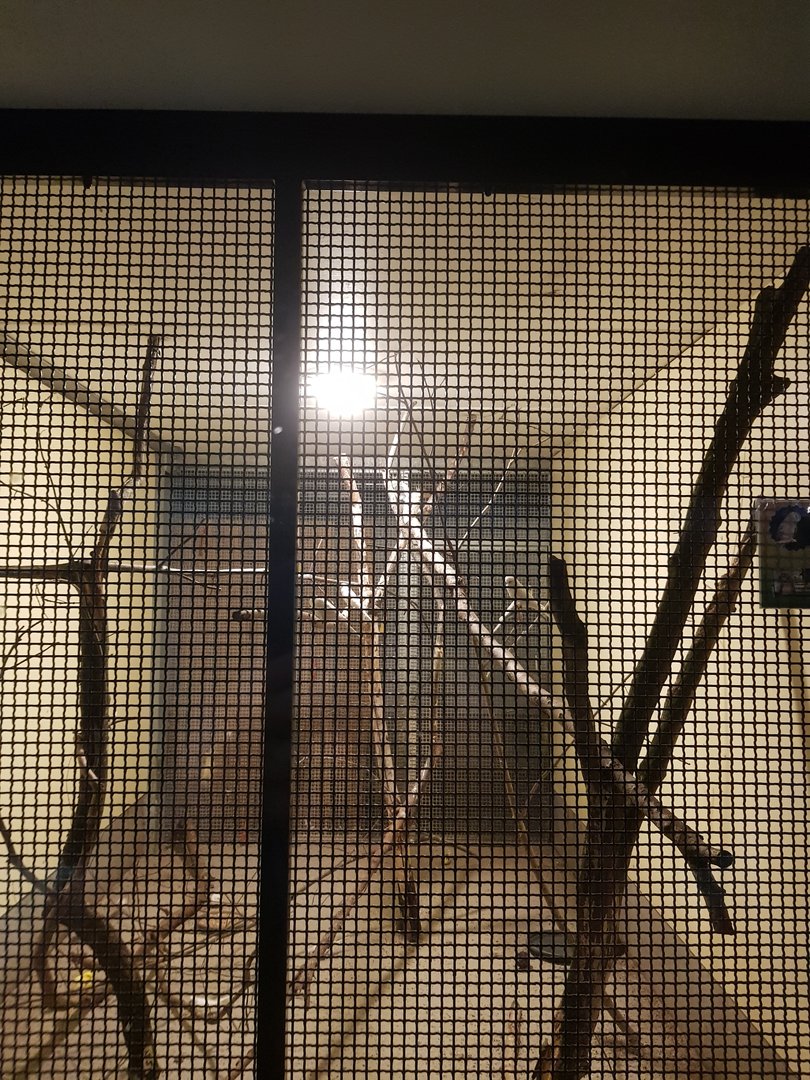 Natuurhulpcentrum Opglabbeek