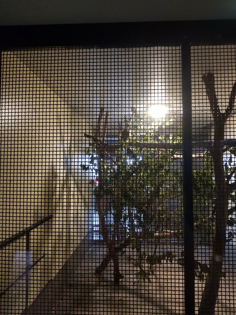 Natuurhulpcentrum Opglabbeek