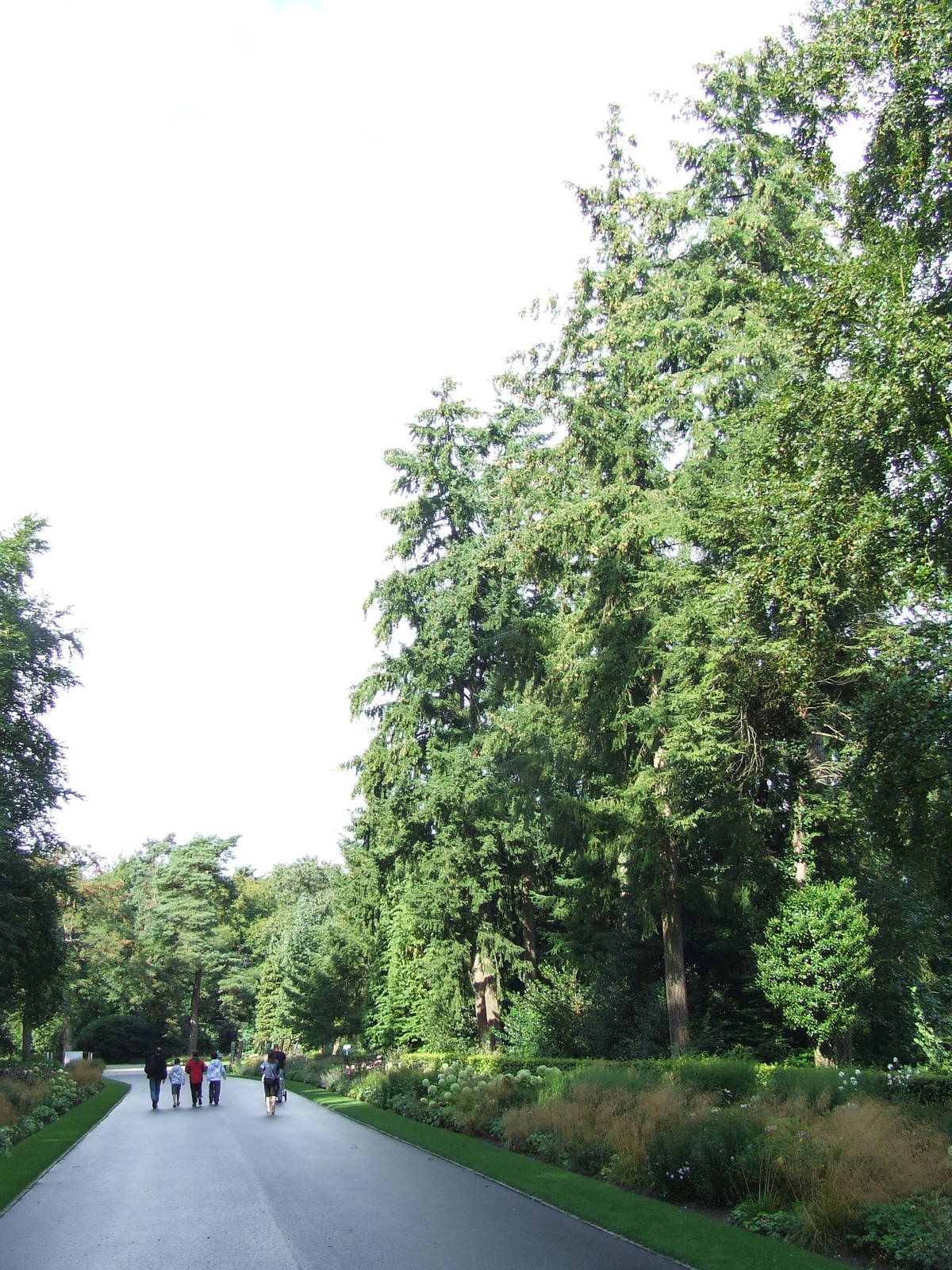 Natuurpark Berg & Bos