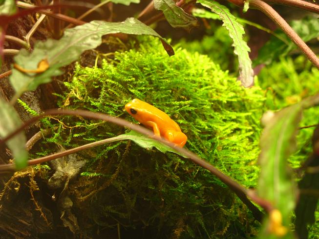 Nausicaa Sea Life Centre