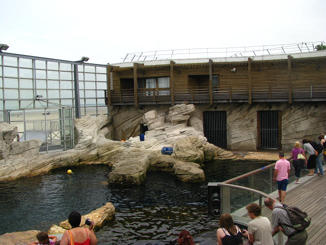 Nausicaa Sea Life Centre