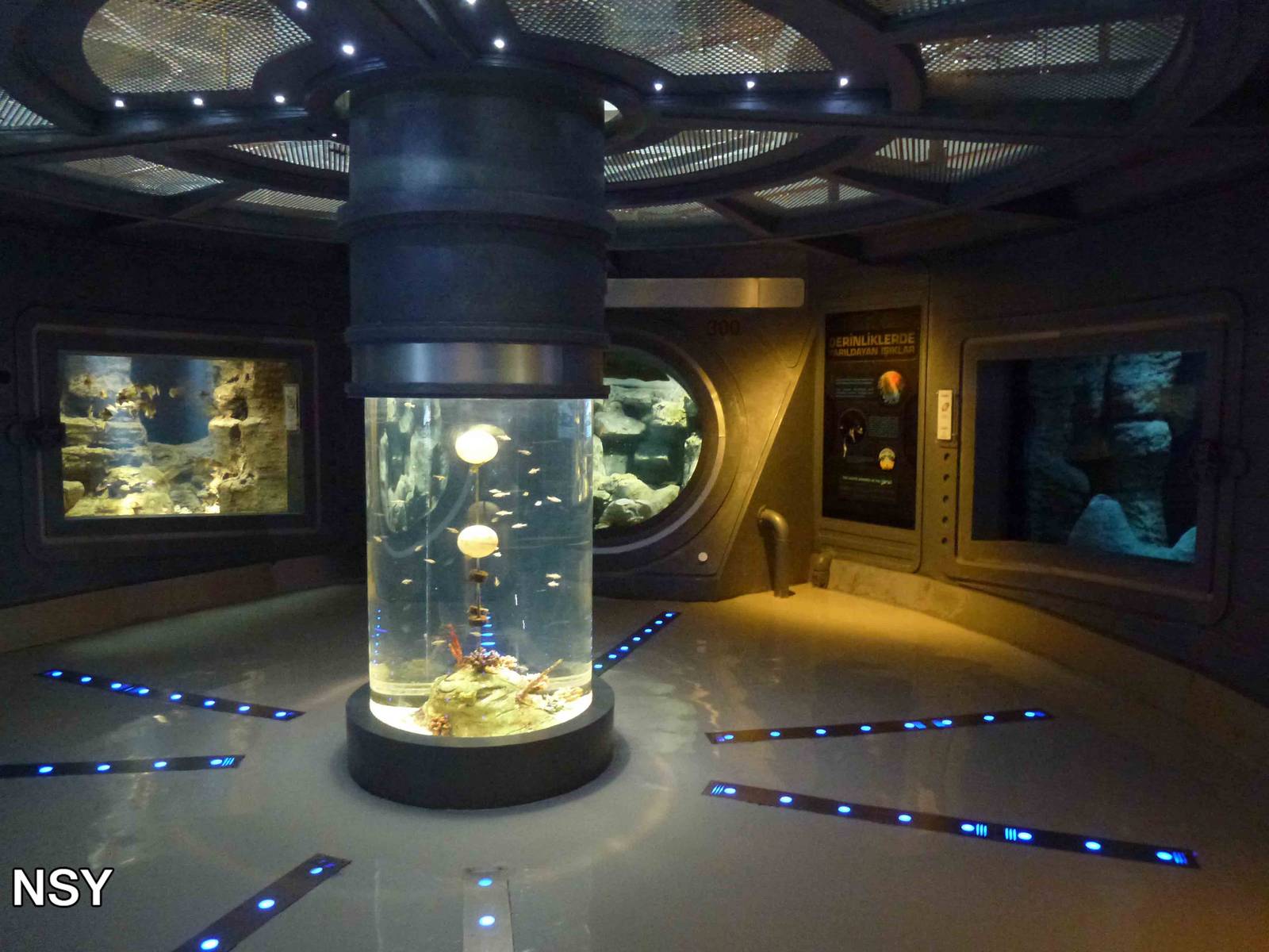 Nautilus hall, June 2013.