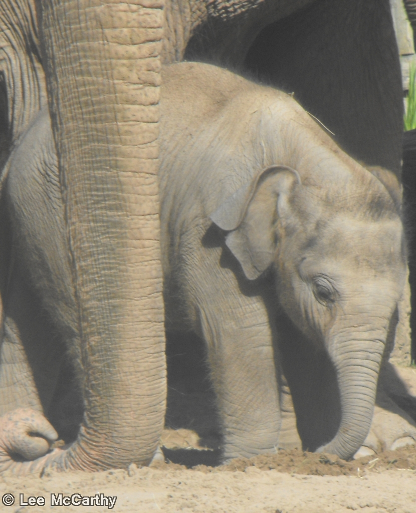 Nayan 22nd August 2010