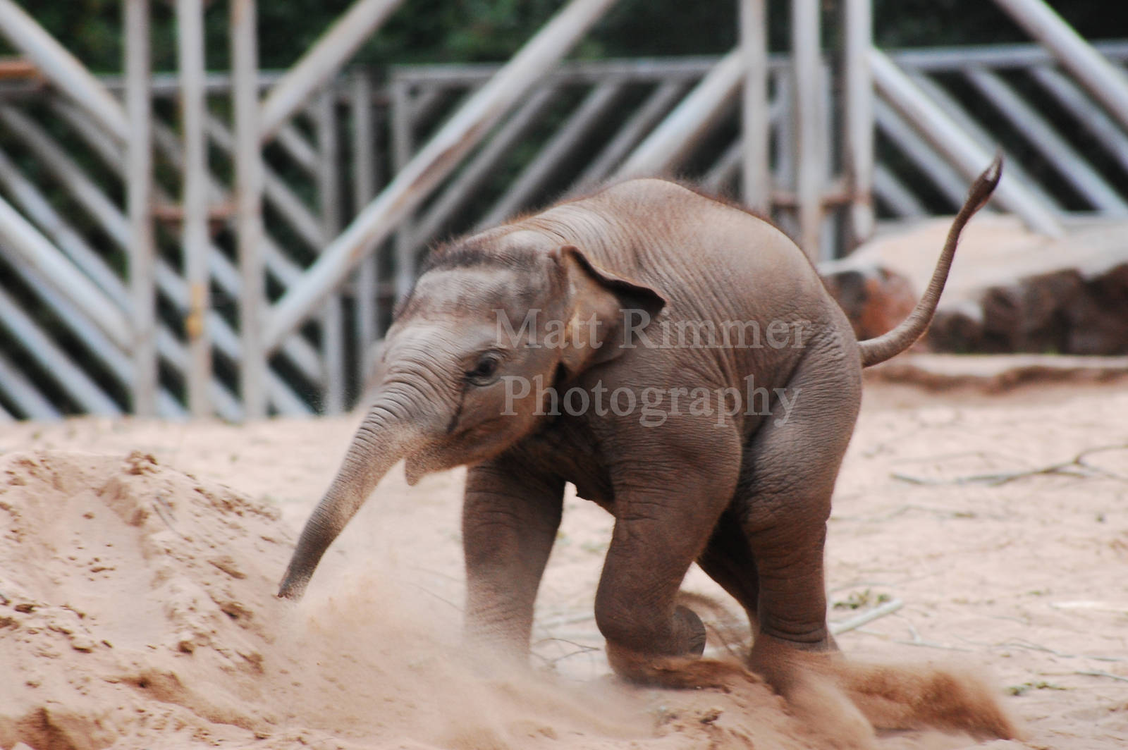 Nayan having a run around