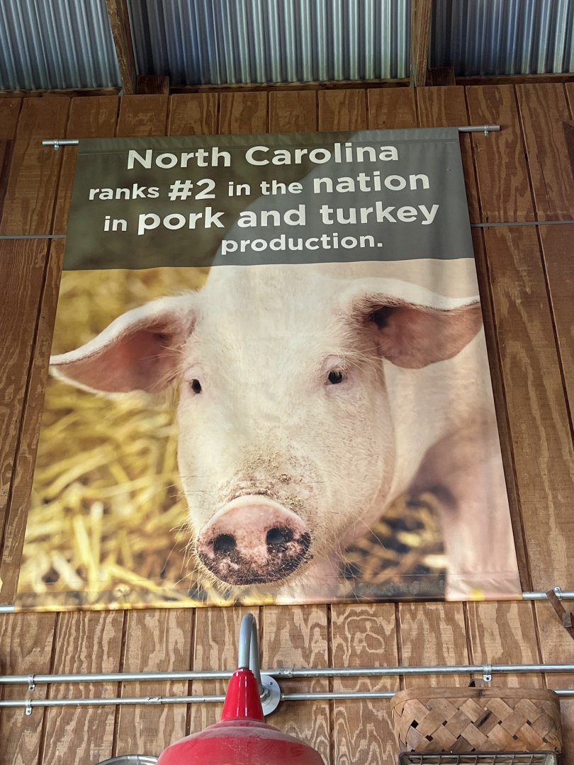NC Pig Farming Poster
