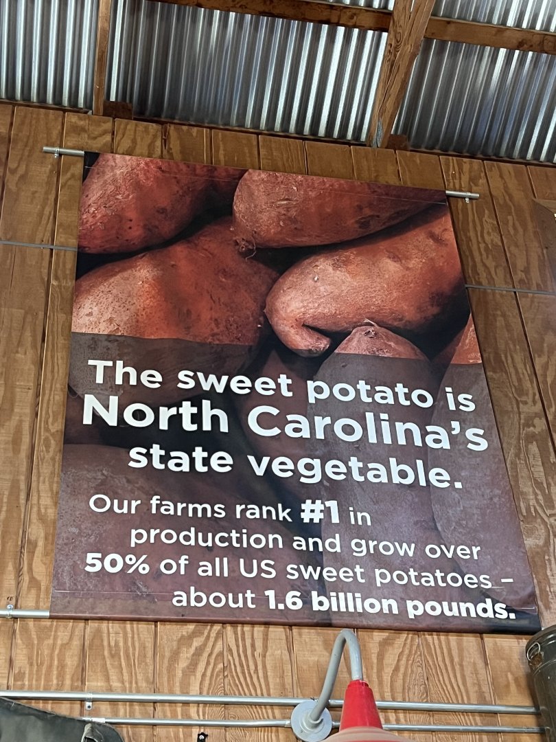 NC Sweet Potatoes Poster
