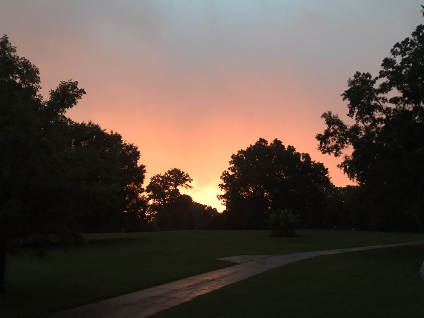NC Zoo: Africa Snorin' Safari Sunrise