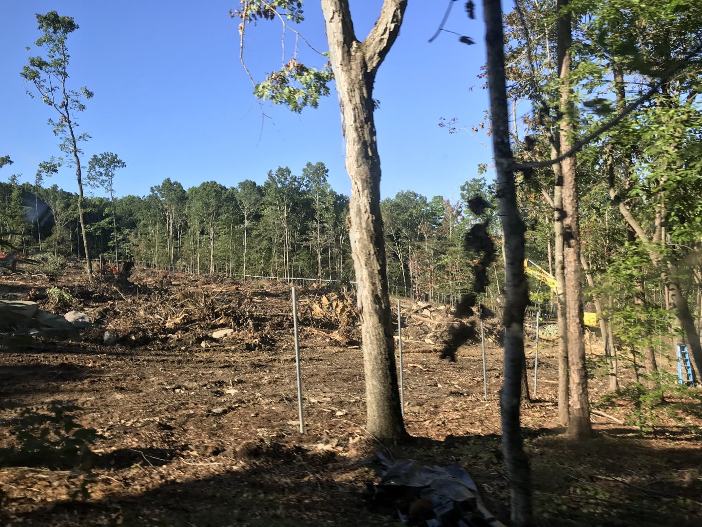 NC Zoo: Asia Construction Site-Sept 12, 2022