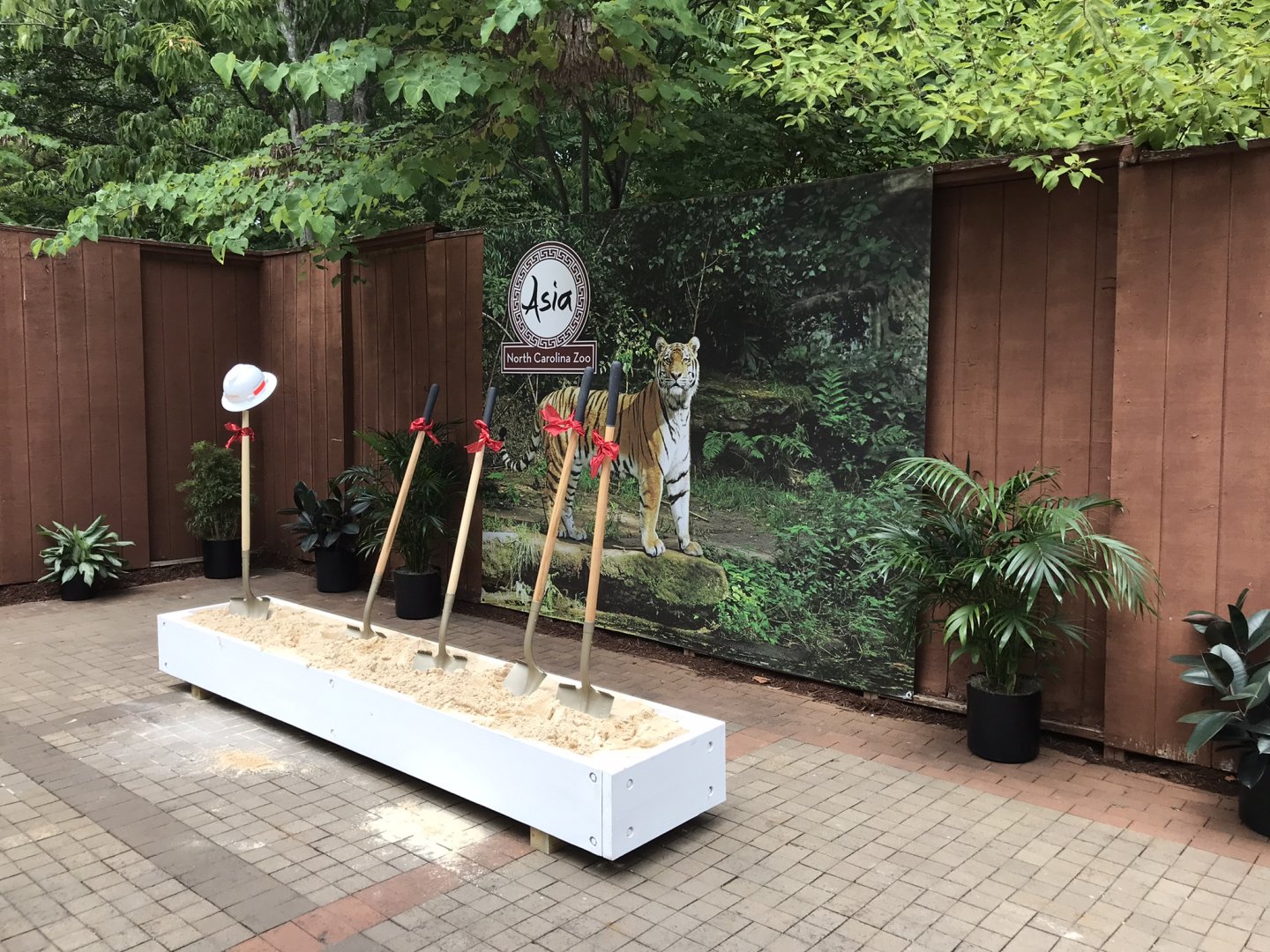 NC Zoo: Asia Groundbreaking Ceremony Shovels