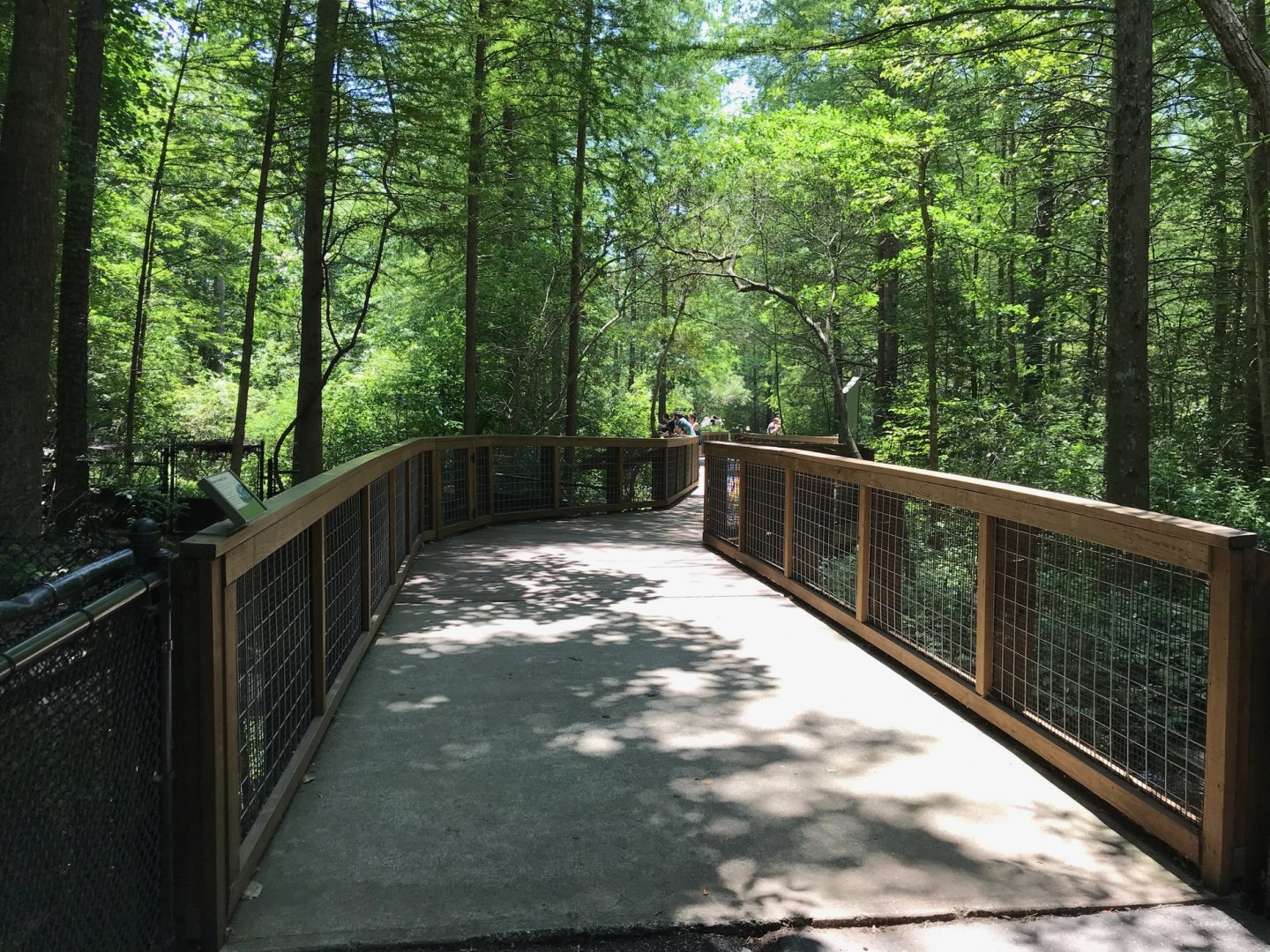 NC Zoo: Cypress Boardwalk