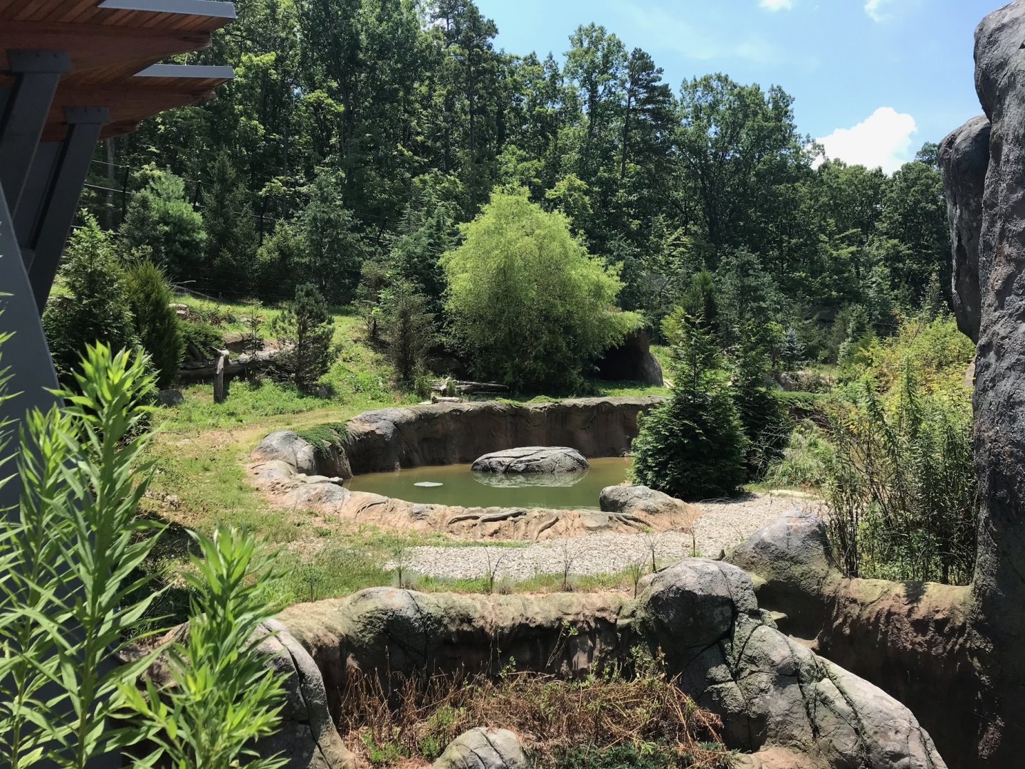 NC Zoo: Lush Polar Bear Exhibit