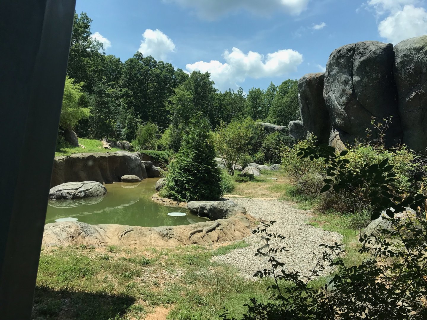 NC Zoo: Lush Polar Bear Exhibit