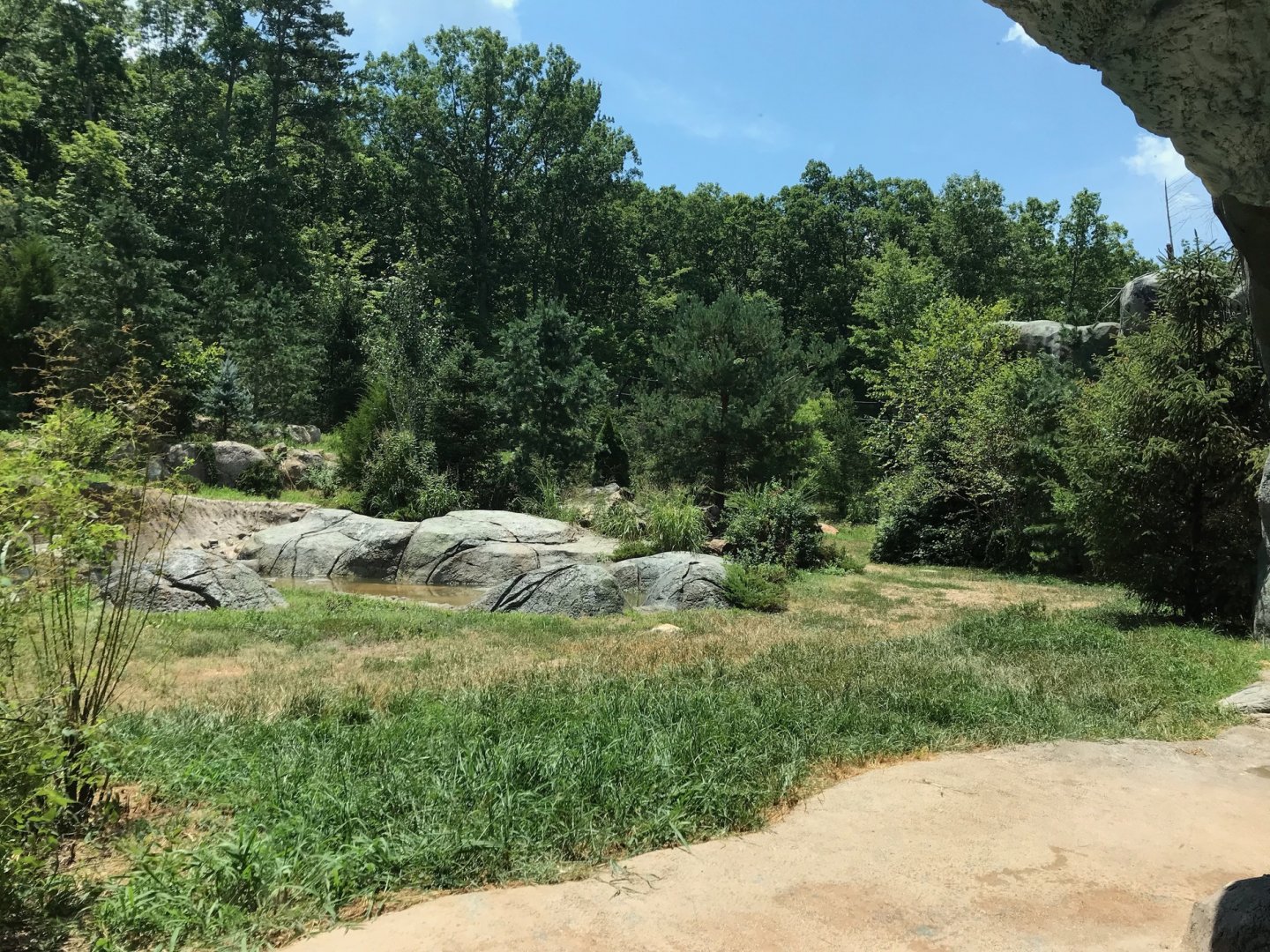 NC Zoo: Lush Polar Bear Exhibit