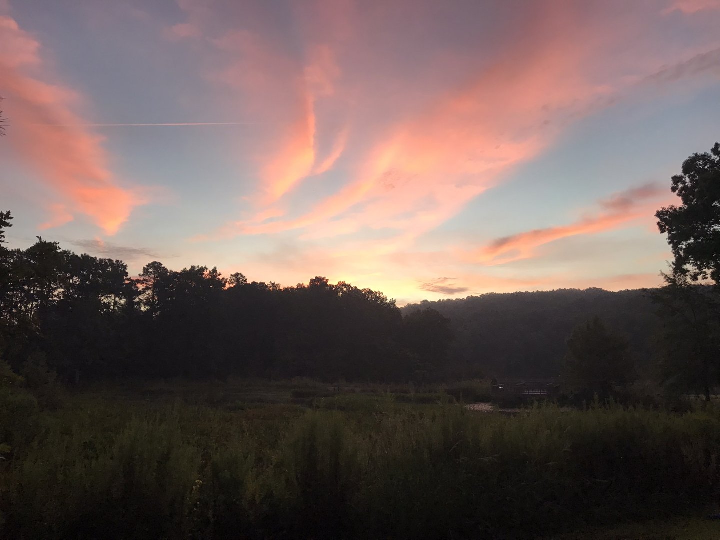 NC Zoo: North America Snorin' Safari Sunrise