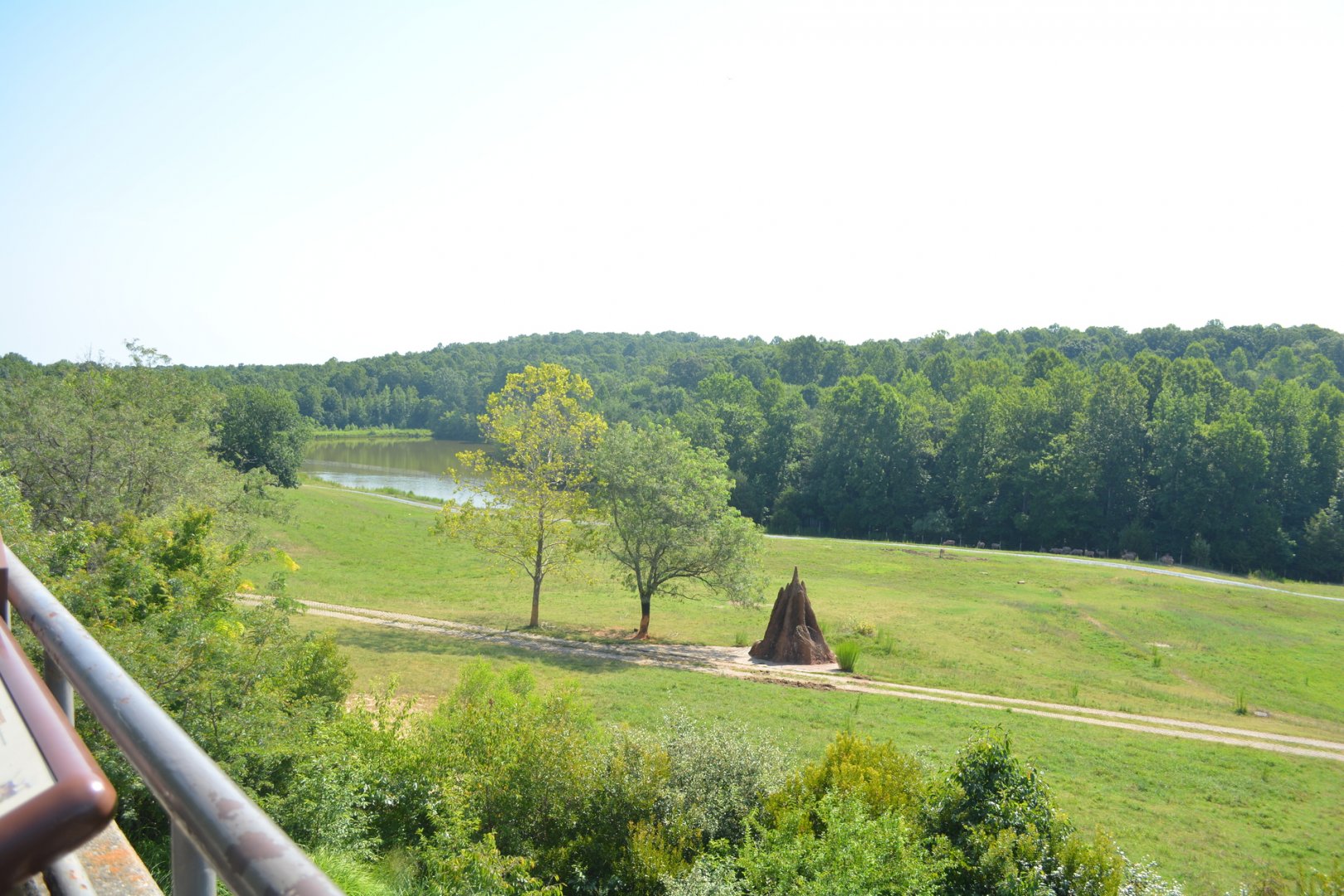 NC Zoo: Watani Grasslands (Middle section of Habitat)