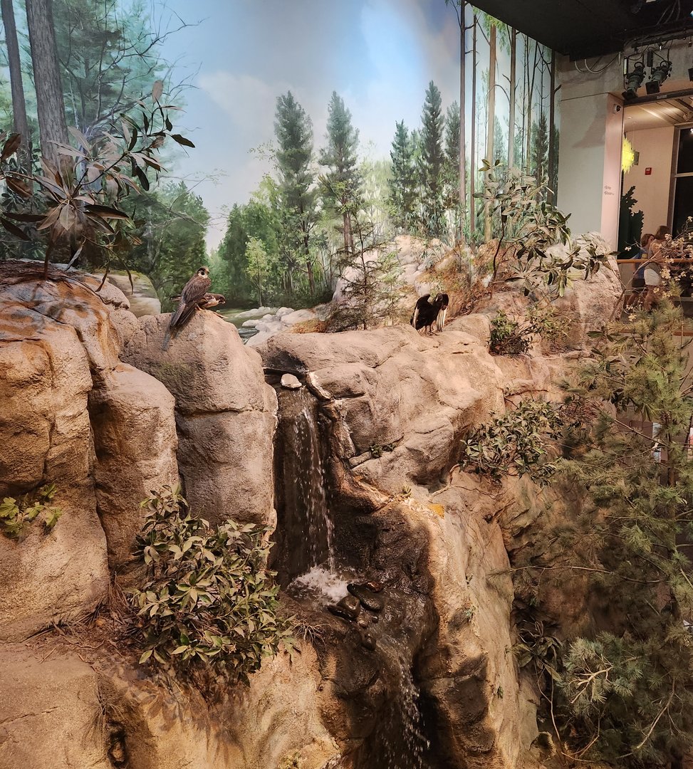NCMNS - Mountains To Sea cliff diorama