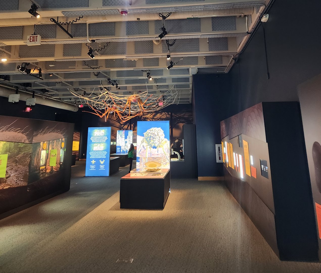 NCMNS - "SPIDERS: Fear to Fascination" exhibit hall