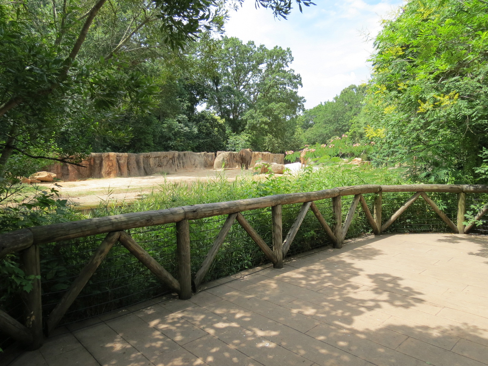 Ndoki Forest - African Elephant Exhibit (now empty after these photos were taken)